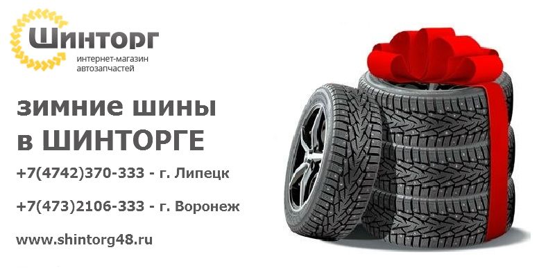 Зимние шины в Шинторге Купить зимние шины в Липецке и Воронеже - магазин "Шинторг"