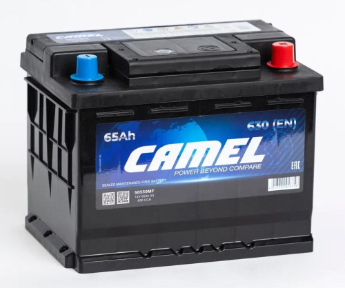 9048efb2-0576-11f0-9b9e-a9e83a98c7a3 1